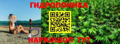 jwh Свободный