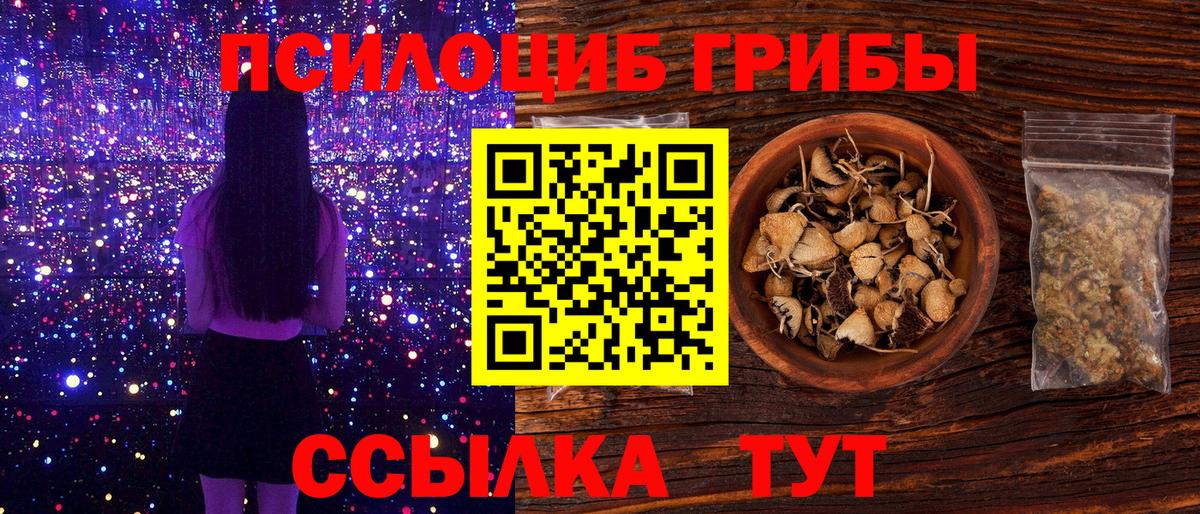 Псилоцибиновые грибы Cubensis  Галлюциногенные грибы ЛСД  Вход с VPN  Новосибирск 
